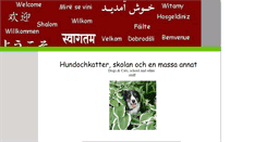Desktop Screenshot of hundochkatter.se